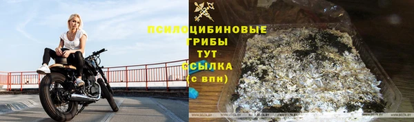 apvp Абаза