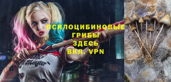 стаф Абдулино