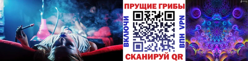Галлюциногенные грибы мицелий  дарнет шоп  Подпорожье 